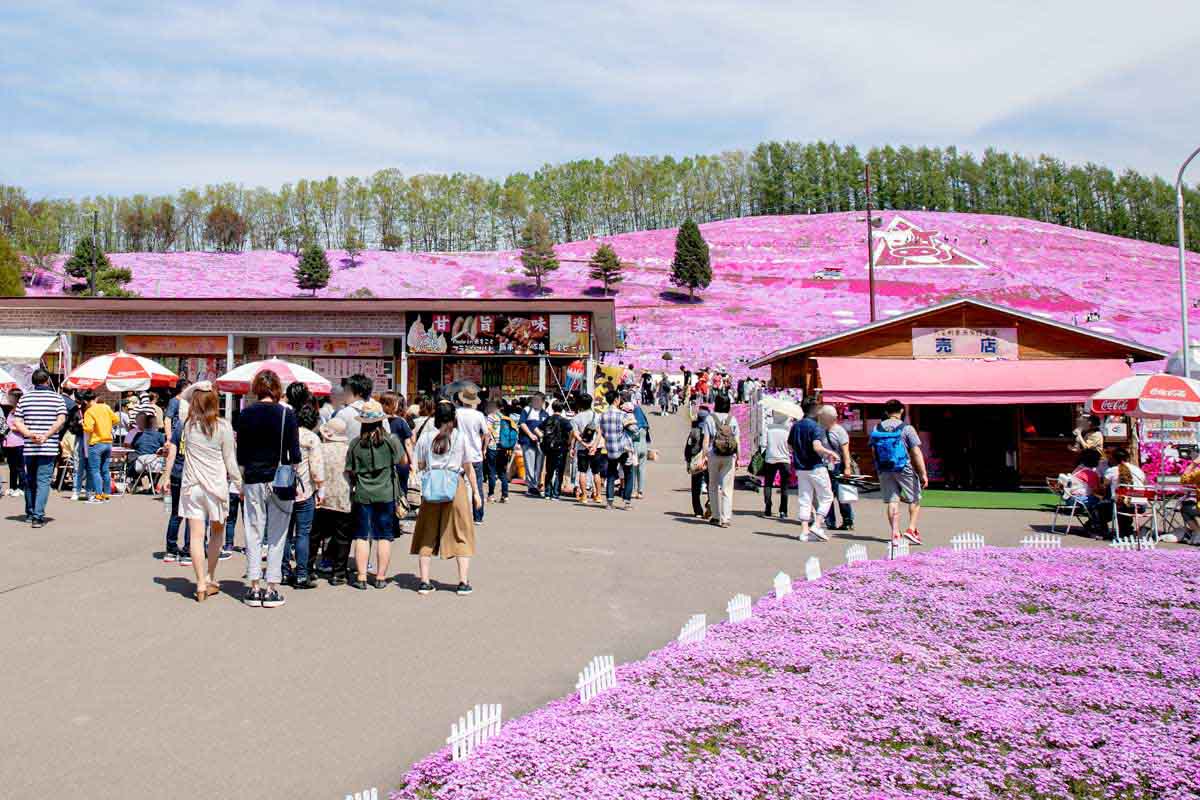 どこでもお祭り北海道について