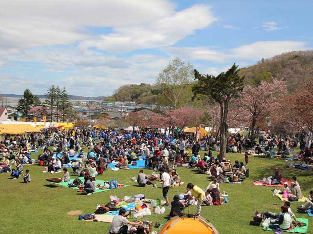 【厚岸町】あっけし桜・牡蠣まつり