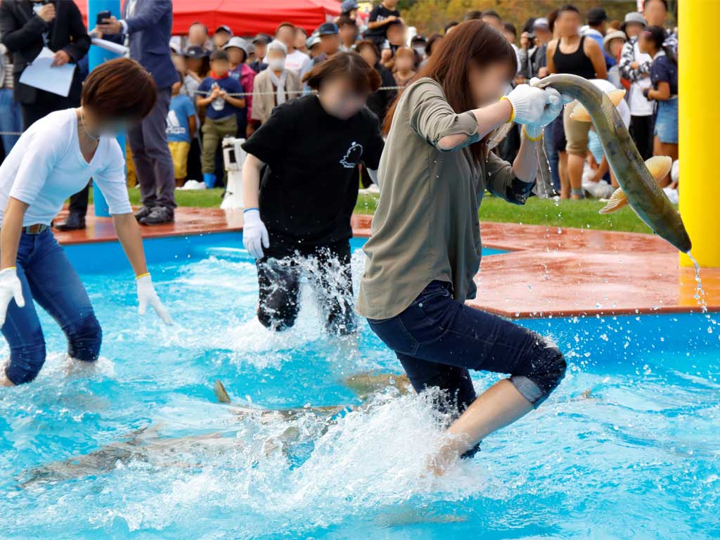 【浦幌町】うらほろふるさとのみのり祭り