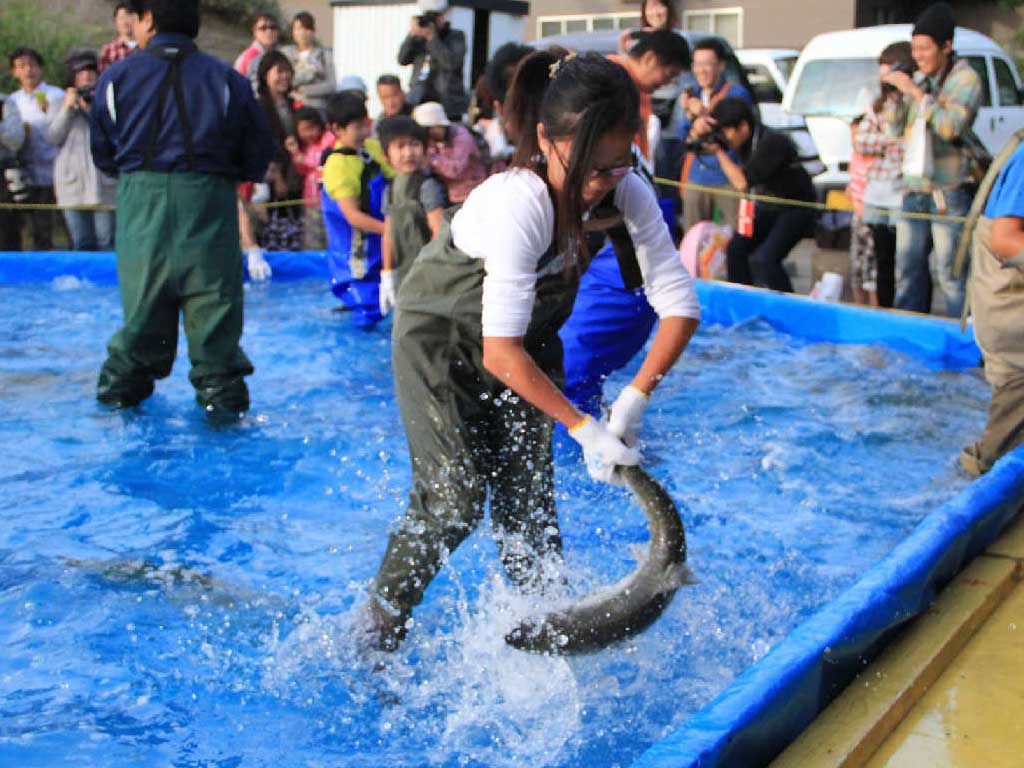 石狩市三大秋祭り【第38回浜益ふるさと祭り・第48回厚田ふるさとあきあじ祭り・第58回石狩さけまつり】