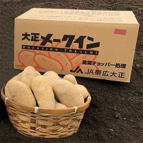 【予約販売／9月下旬出荷予定】大正野菜3兄弟の「大正メークイン」10kg