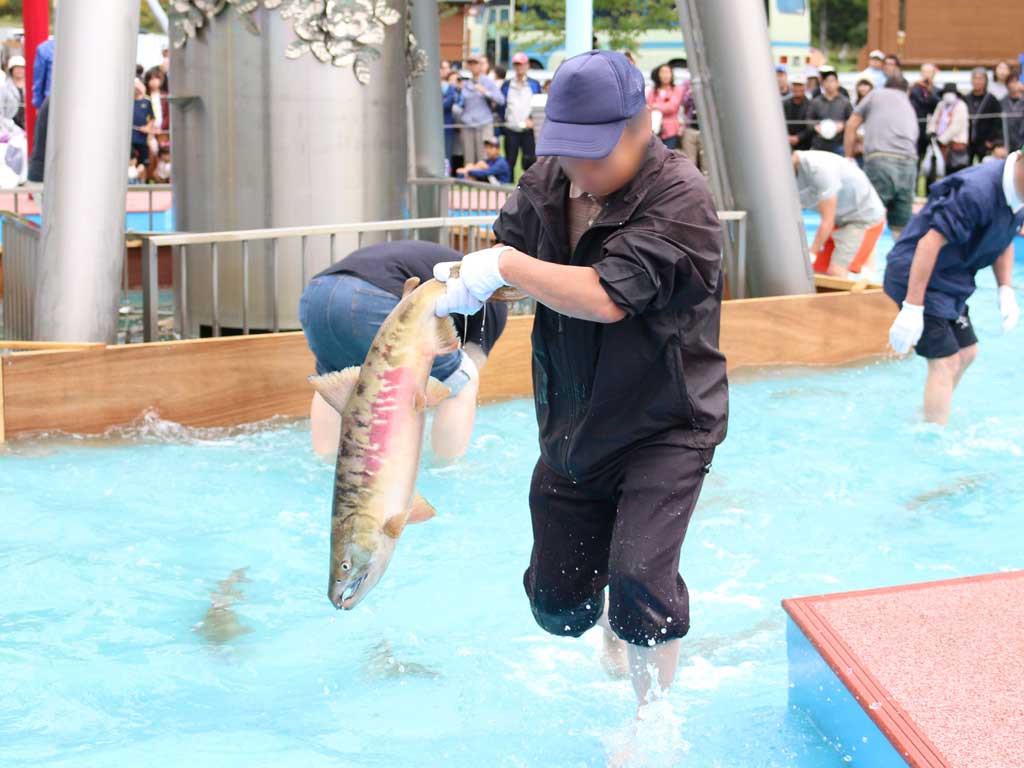 浦幌町 うらほろふるさとのみのり祭り