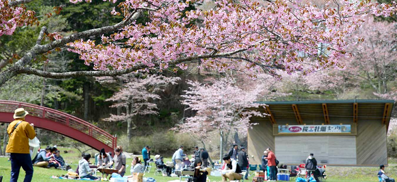 【厚岸町】第74回あっけし桜・牡蠣まつり