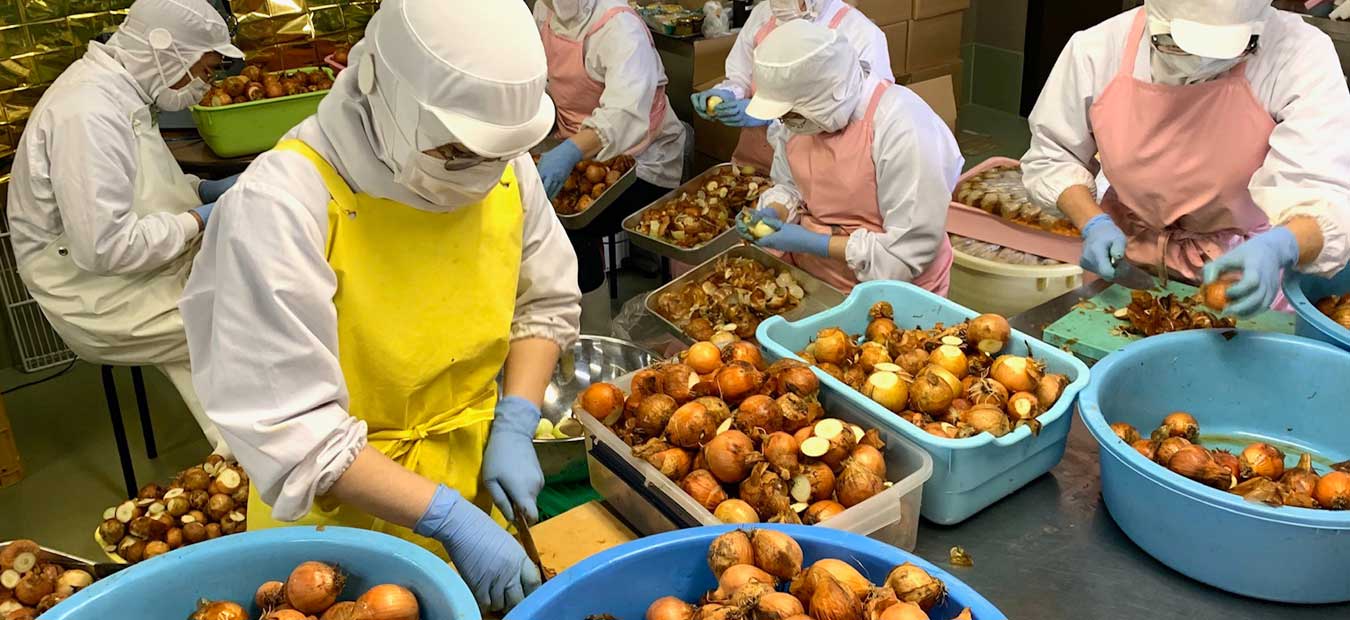 大地のりんご「毎日食べたい玉ねぎの甘酢漬け」